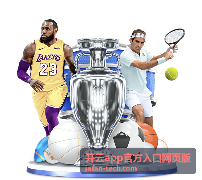 开云app官方入口网页版安全校验功能示意